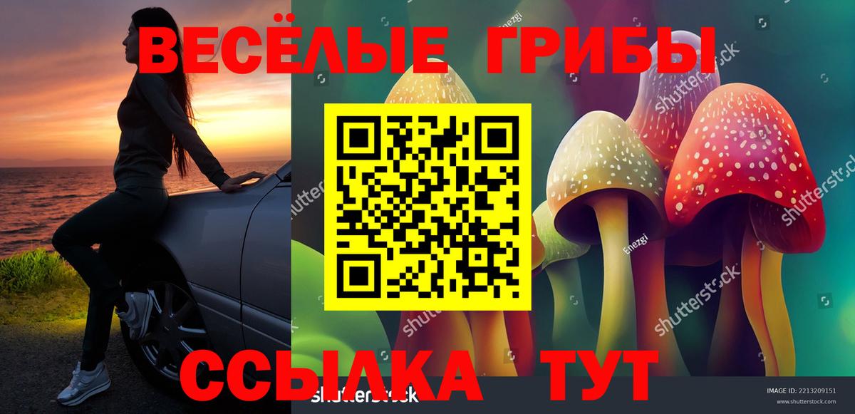 Сальск  Псилоцибиновые грибы мухоморы  Вход с VPN 